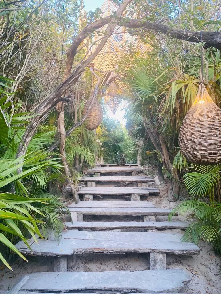 A sunlit path and stone steps winding through tropical jungle near Playa del Carmen.