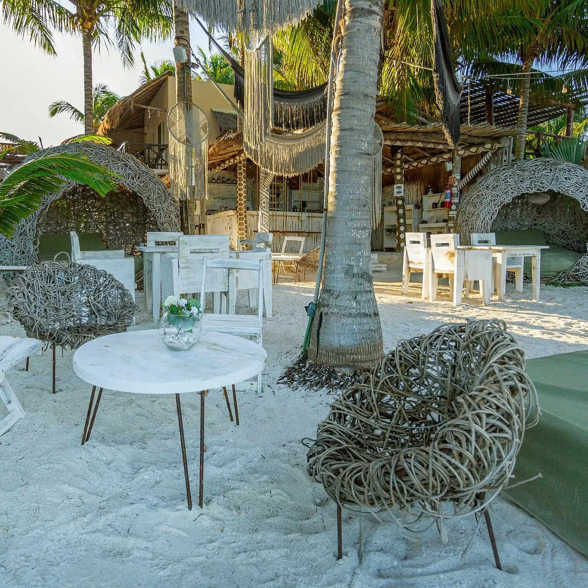 A quiet beach lounge under the palms