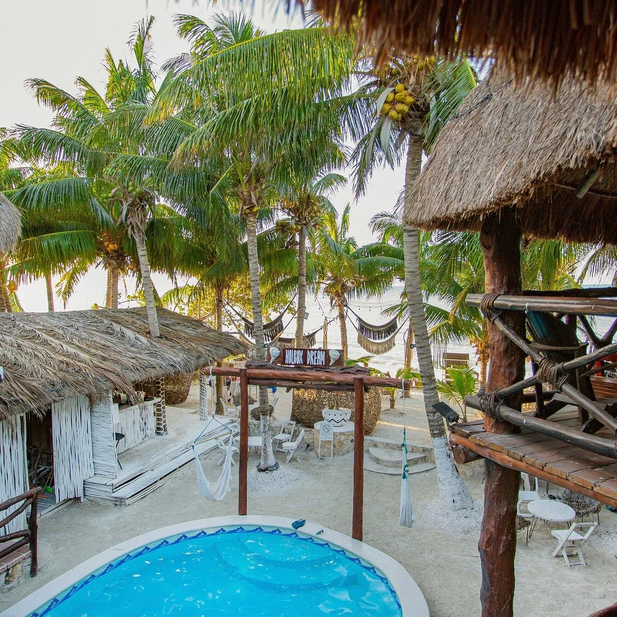 A pool in a tropical garden