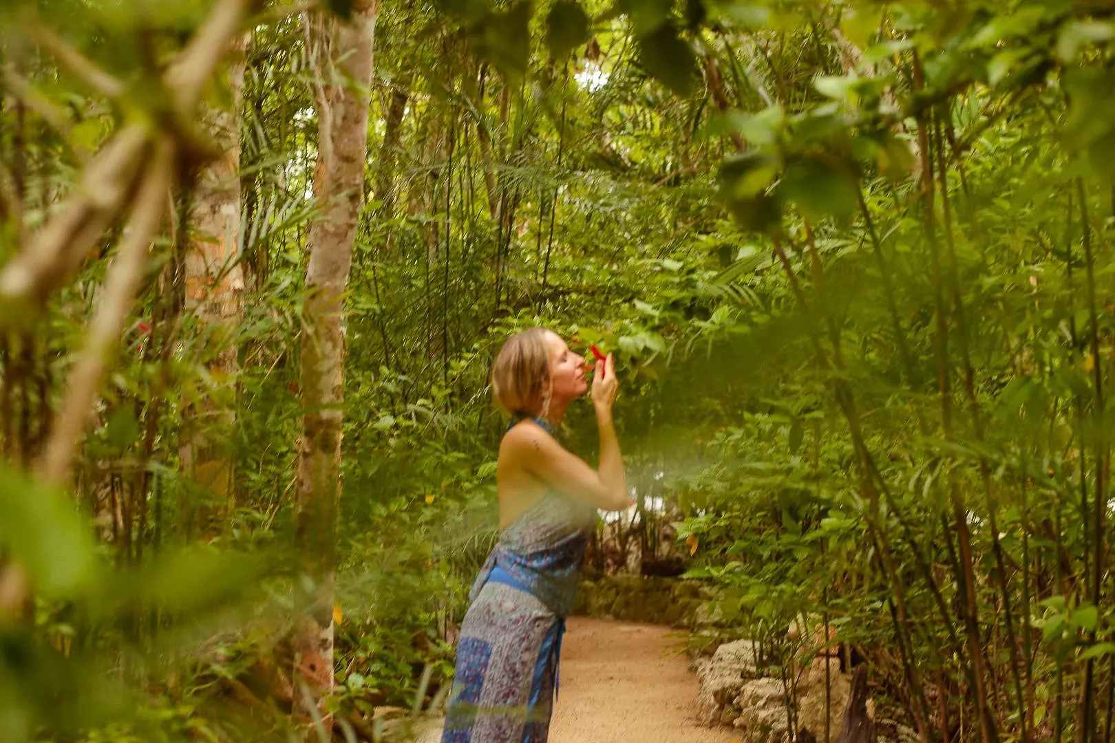 A guest walking a green jungle path