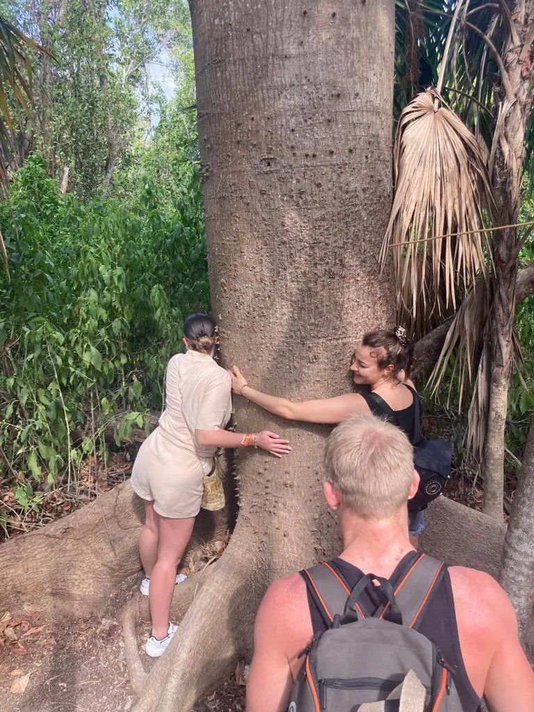Guests embracing a ceiba tree on a jungle walk