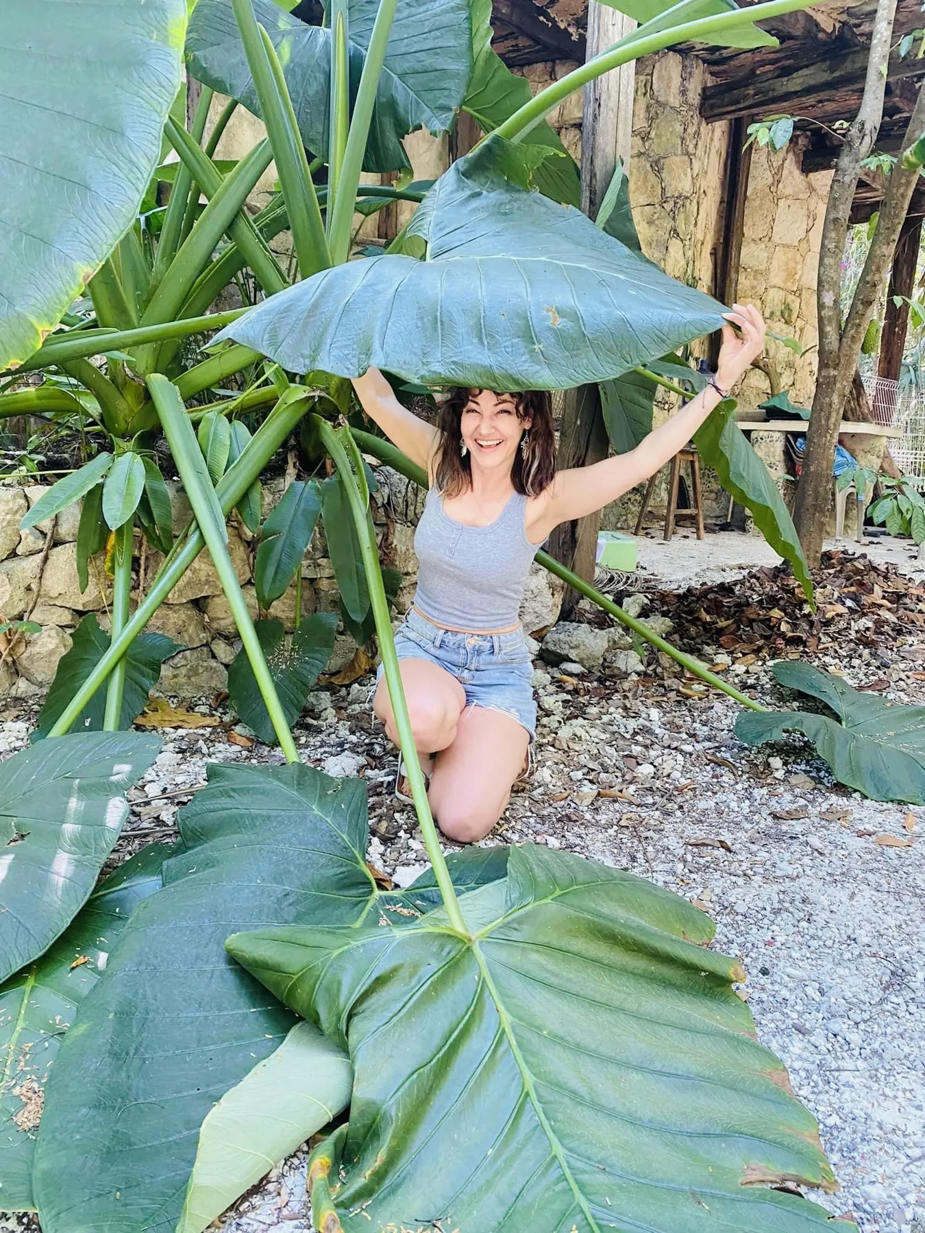 A guest under a giant tropical leaf